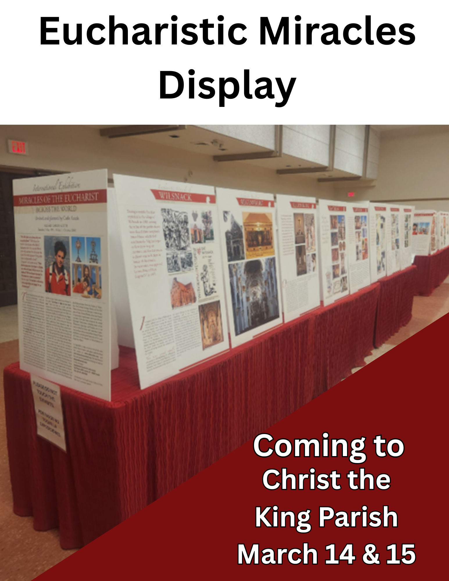 Eucharistic Miracles Display